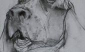 bladhaund_8