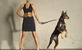 doberman_16