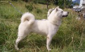 aynu-hokkaydskaya_5