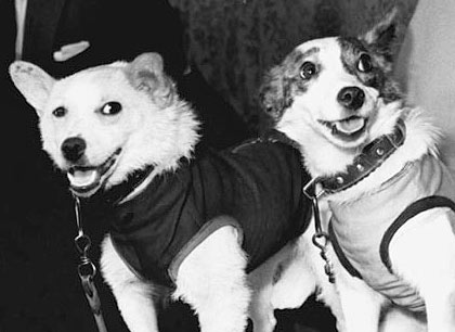 19 августа 1960 года были отправлены в космос собаки Белка и Стрелка