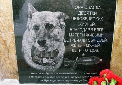 памятник собаке Елге