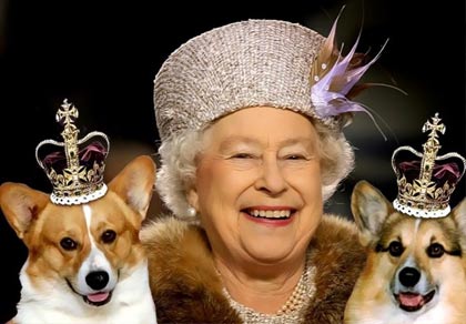 Собаки Королевы Великобритании Елизаветы Второй