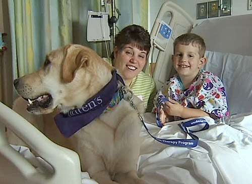 Пёс Вито - терапевт детского госпиталя Питтсбурга в США