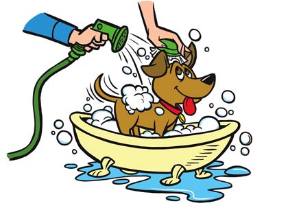 Как помыть собаку (щенка)