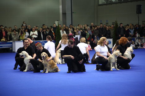 В Москве состоялась выставка собак «Евразия 2012»